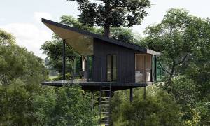     - HYTT Architecture